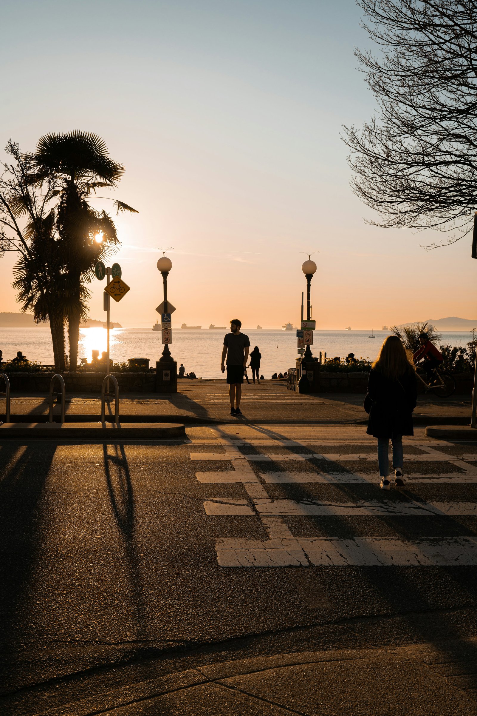 DailyWalkGuy creator image